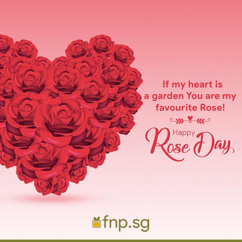 rose day message